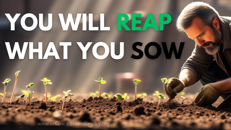 reap what you sow scripture